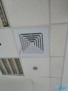 以寵之名-杭州市蕭山區街道寵物店